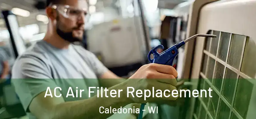  AC Air Filter Replacement Caledonia - WI