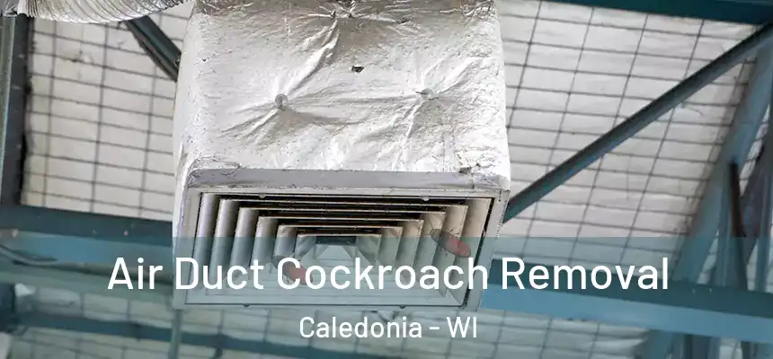Air Duct Cockroach Removal Caledonia - WI