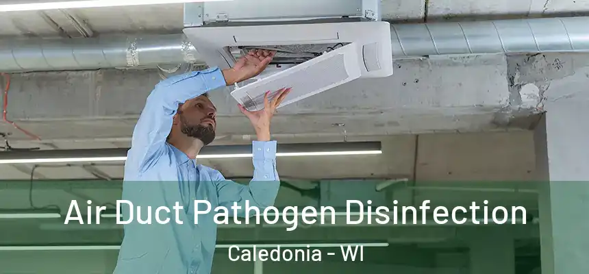  Air Duct Pathogen Disinfection Caledonia - WI