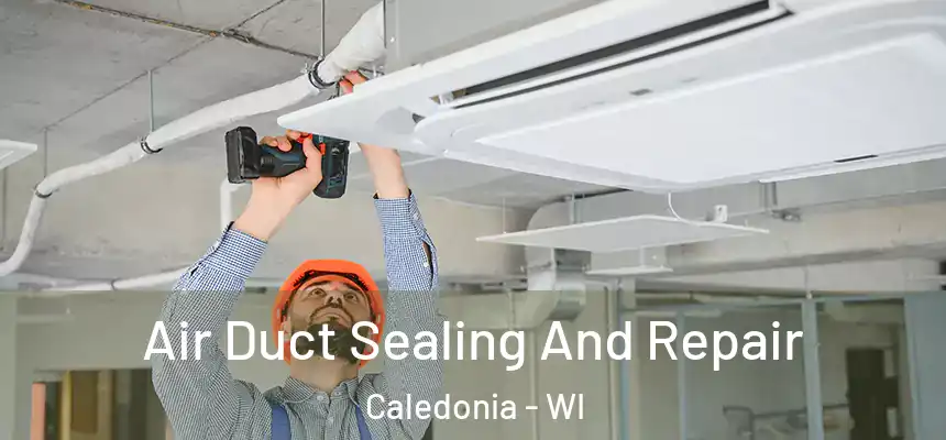  Air Duct Sealing And Repair Caledonia - WI