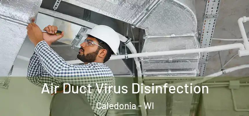  Air Duct Virus Disinfection Caledonia - WI