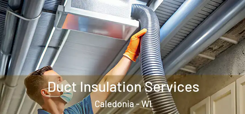  Duct Insulation Services Caledonia - WI