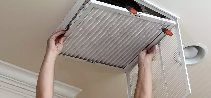 Preventive Cockroach-Proofing for Ducts in Caledonia