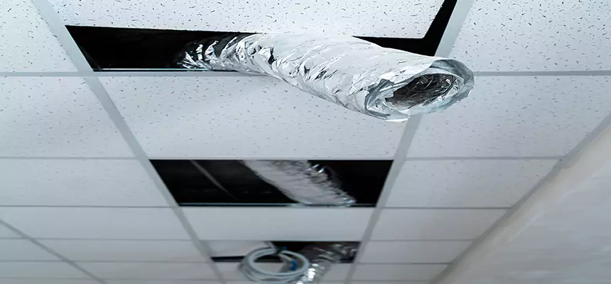 Affordable HVAC Sanitizing After Pest Removal in Caledonia