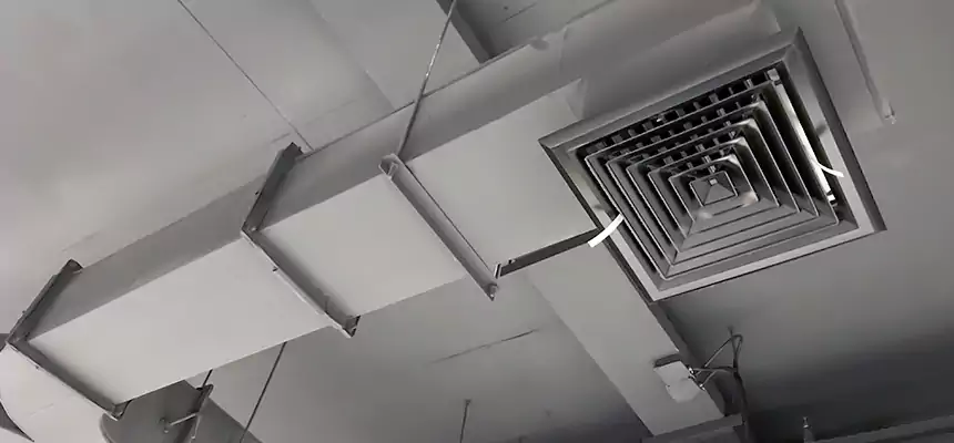 Restorative Allergy Relief Vent Cleaning – Coil, Blower & Housing Detail in Caledonia