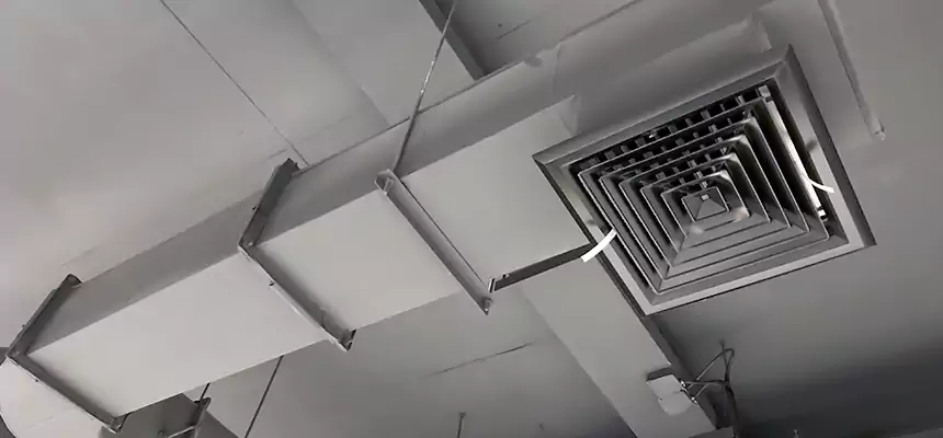 Our Pest Removal From Ducts Services in Caledonia, WI