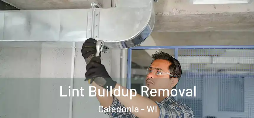  Lint Buildup Removal Caledonia - WI