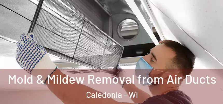Mold & Mildew Removal from Air Ducts Caledonia - WI