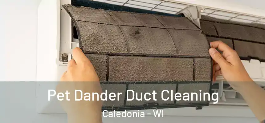 Pet Dander Duct Cleaning Caledonia - WI