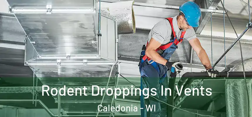  Rodent Droppings In Vents Caledonia - WI