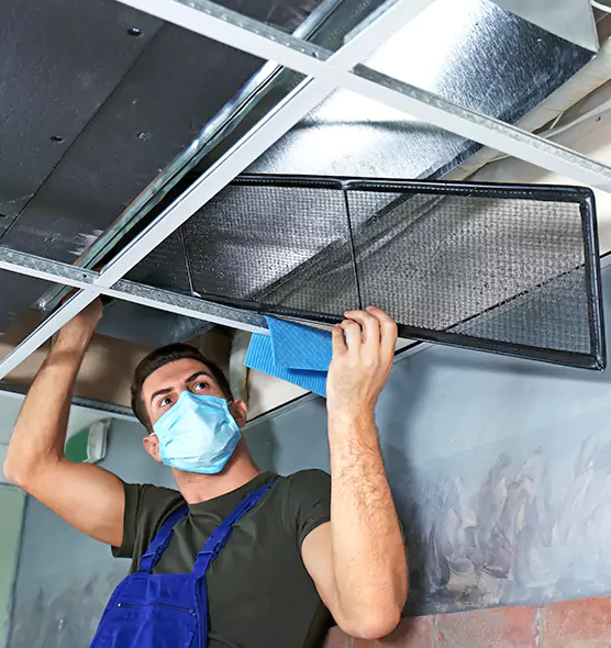 About Air Duct Bacteria Removal in Caledonia