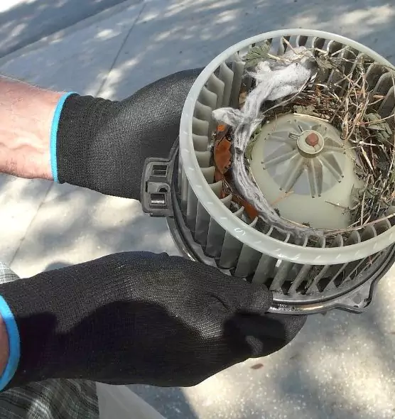 About Air Duct Mice Removal in Caledonia, WI