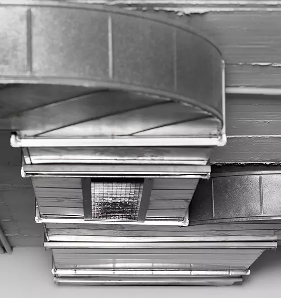 Professional Air Duct Pest Removal in Caledonia, WI