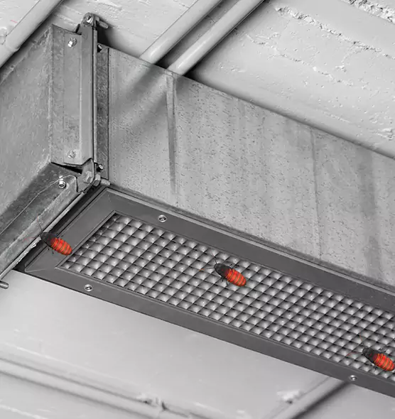 Affordable Insect Removal from Air Ducts in Caledonia, WI