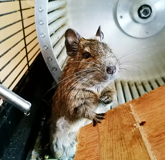 Why Homeowners & Businesses Trust Us Caledonia, WI?