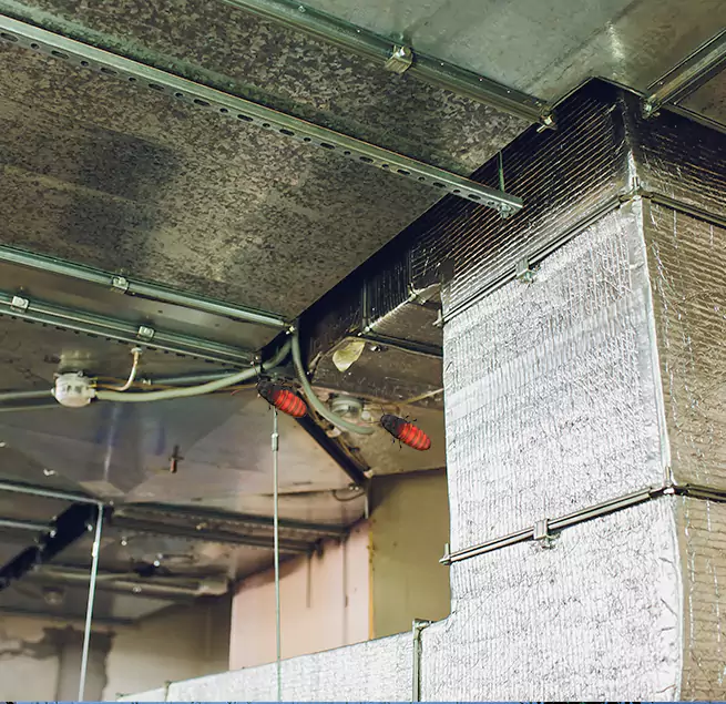 Why Homeowners & Businesses Trust Us Caledonia, WI?